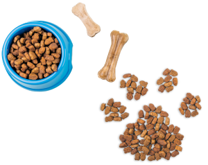 وی پت VIPET؛ تولیدکننده غذای سگ و گربه